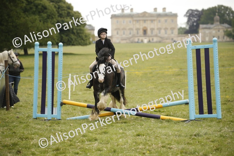 20250517-0739 - Class 2 - 30cm Off Lead Rein