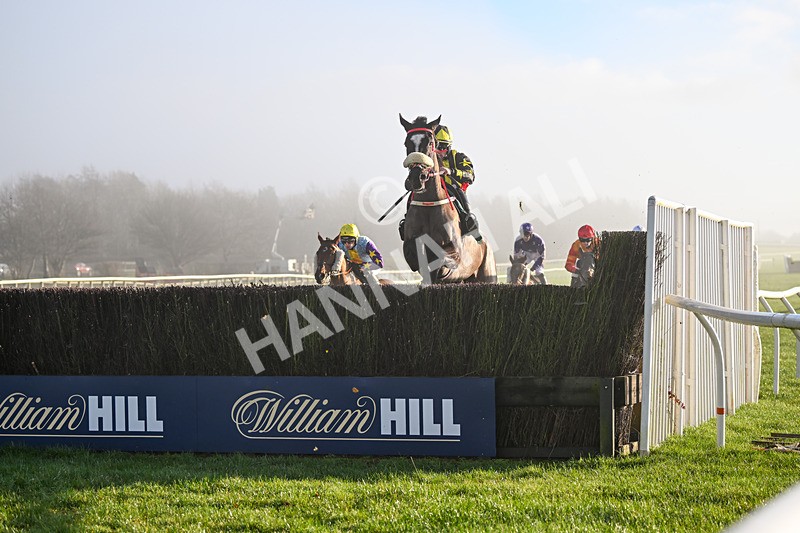 281224-Race 1-Not Staying Long-3905 - Race 1