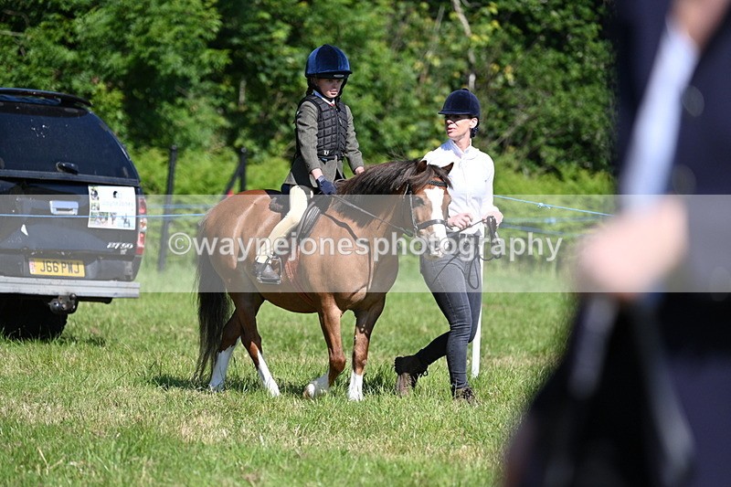 WJ7_0715 - Class 8 First Rally Pony