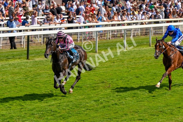 160623-Race 4-Chichester-6335 - Race 4 3.35pm Seat Unique Ganton Stakes