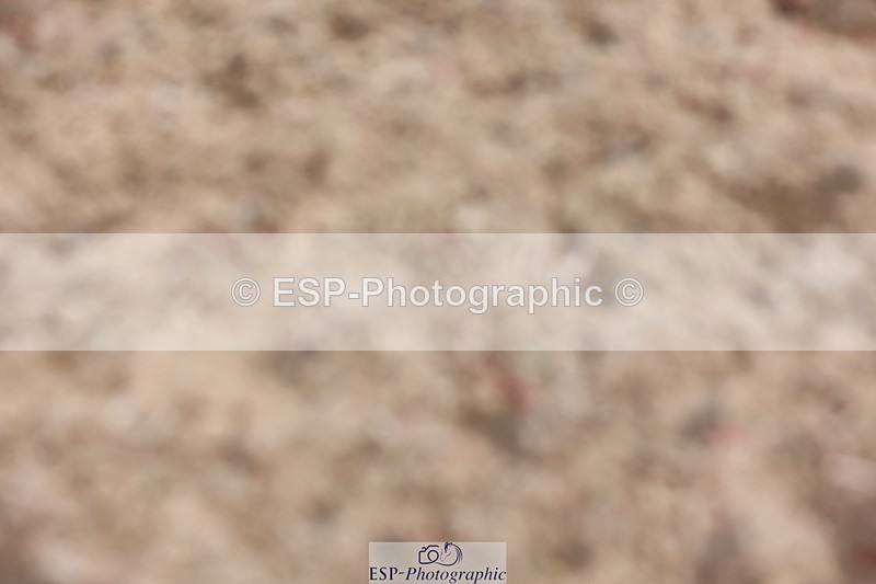 240621A-111435-00401 - Cls 9 BD Music Elementary