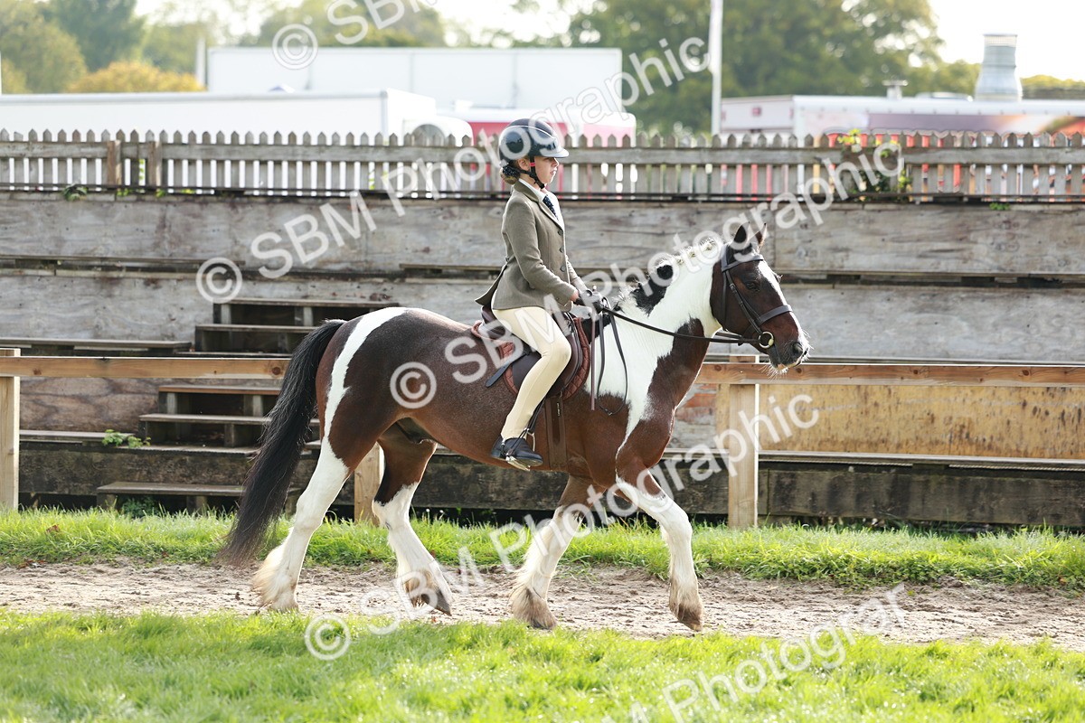 SBM_56380 - S39 - Starters In Hand Showing