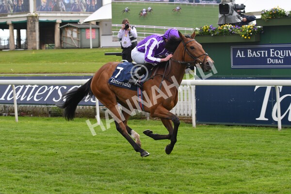 yr12052021r4-28 - Race 4 3.10pm Tattersalls Musidora Stakes