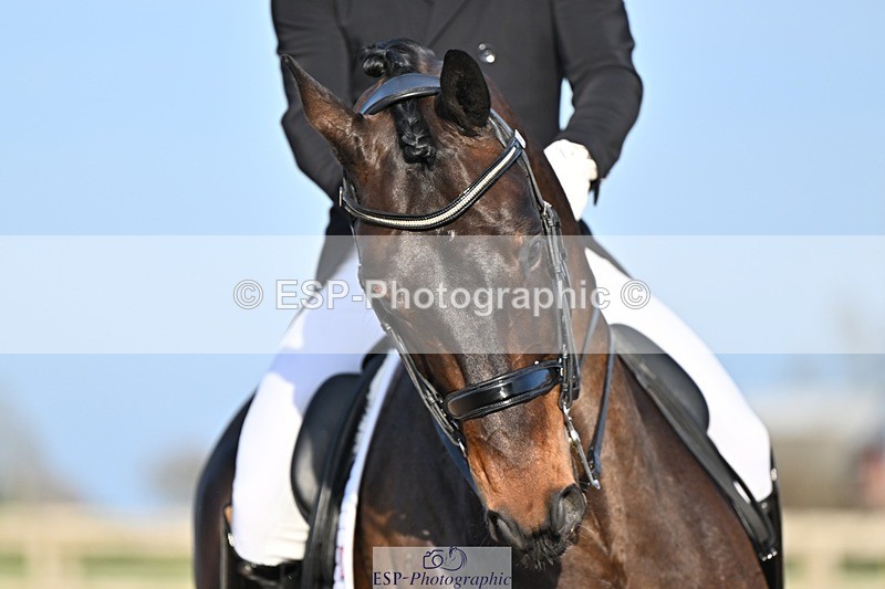 250404-181457-08582 - 159-Darren.Hicks-Tramontana.Tiger.Feet