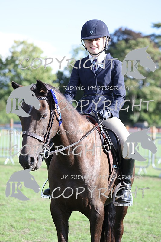 APP_4194 - Class 15a/b Pony club pony/Riding club horse