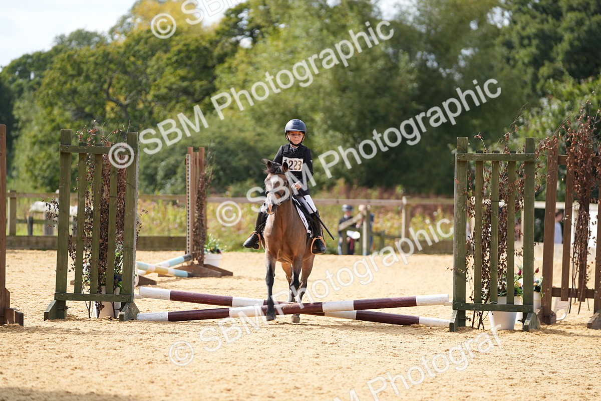 SBM_65681 - J2 - Mini Tour Junior Pony 30cm Championship