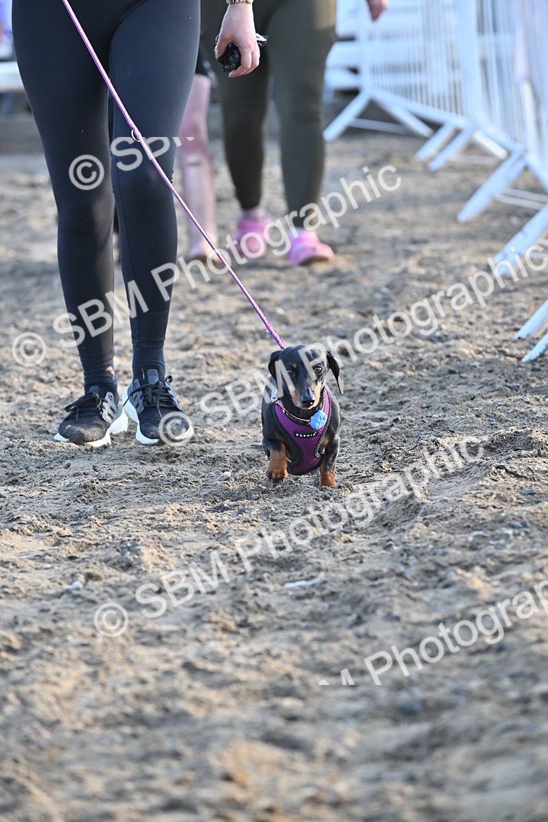 SBM_09432 - Lorry Dogs