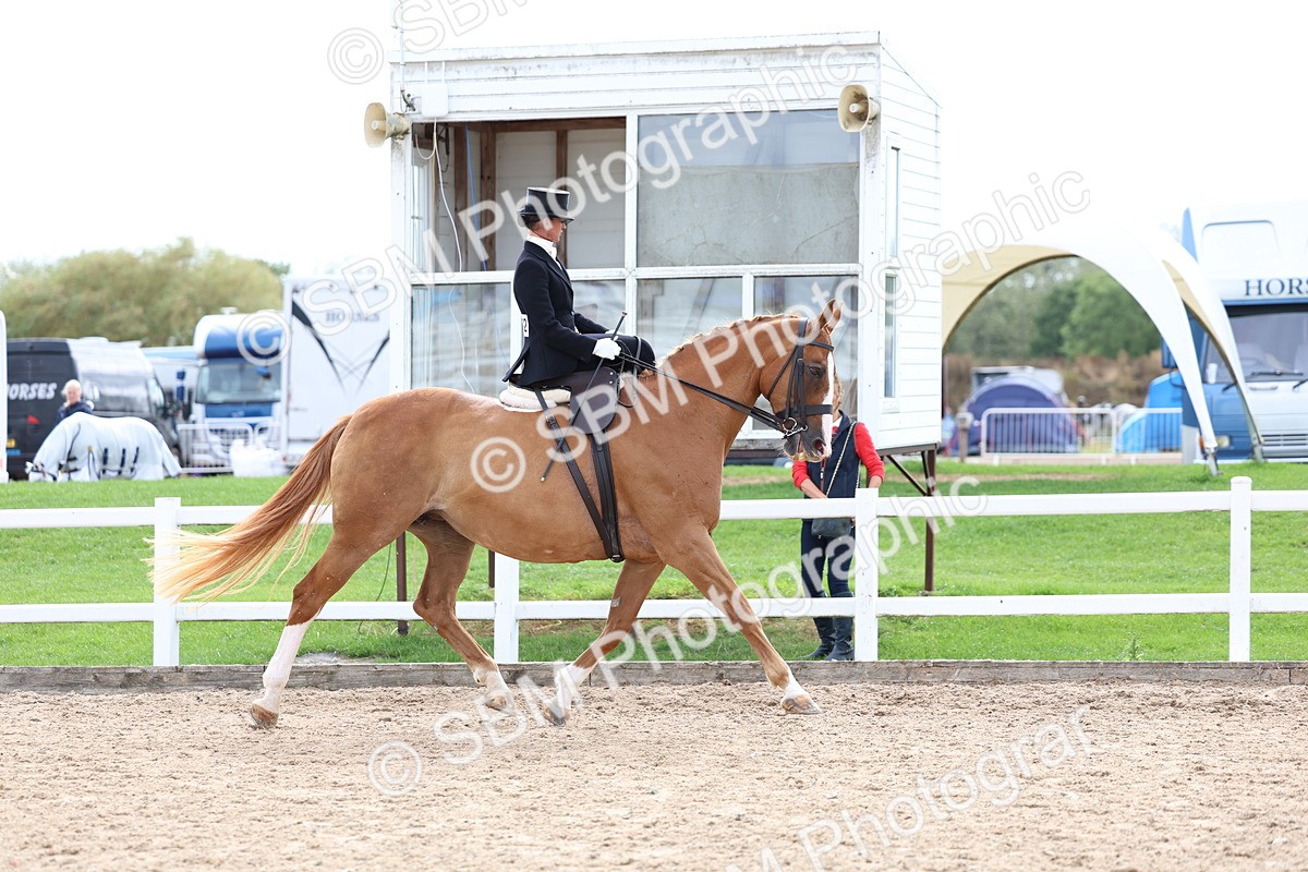 SBM_03391 - Class 24 - SSA Concours d'elegance (any age)