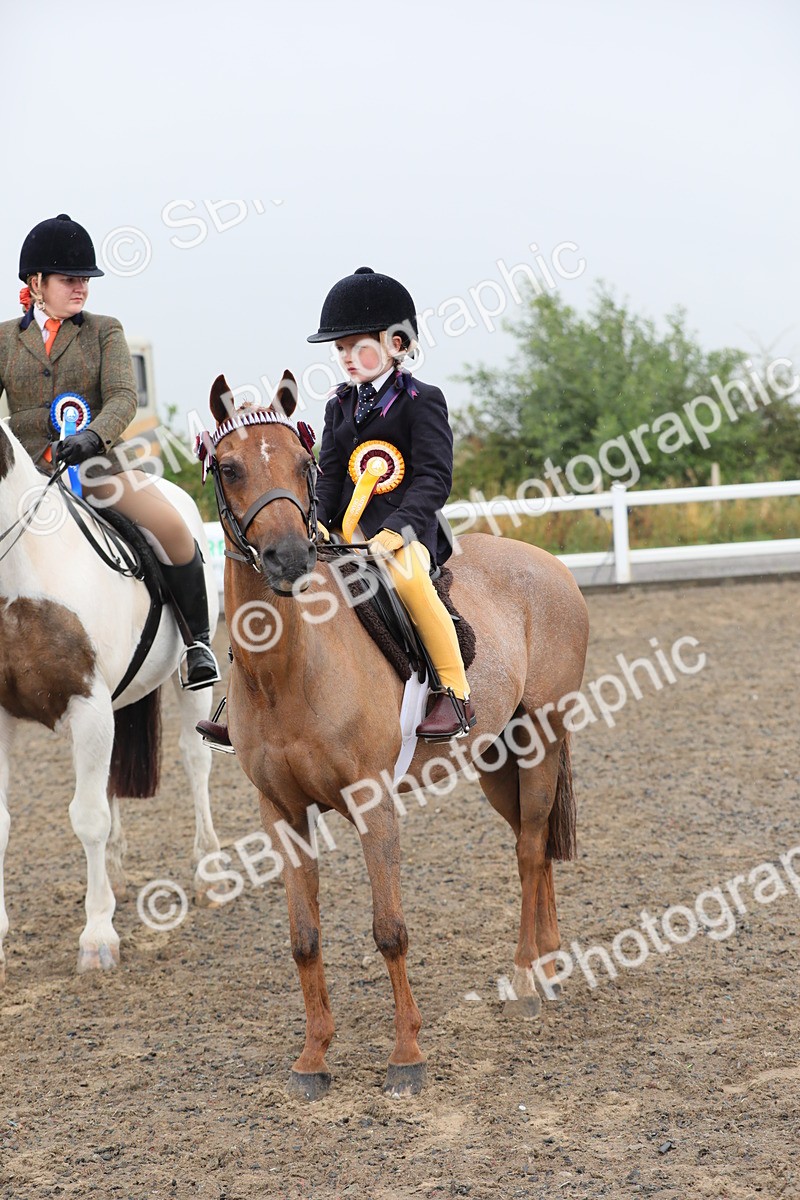SBM_20647 - Class 804 - Ridden Veteran Pony