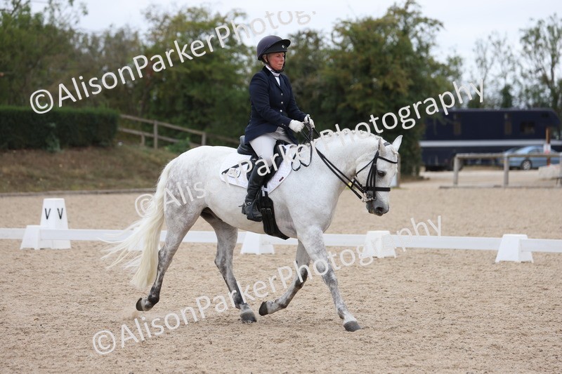 20250820-1169 - Class 17 - Elementary 4