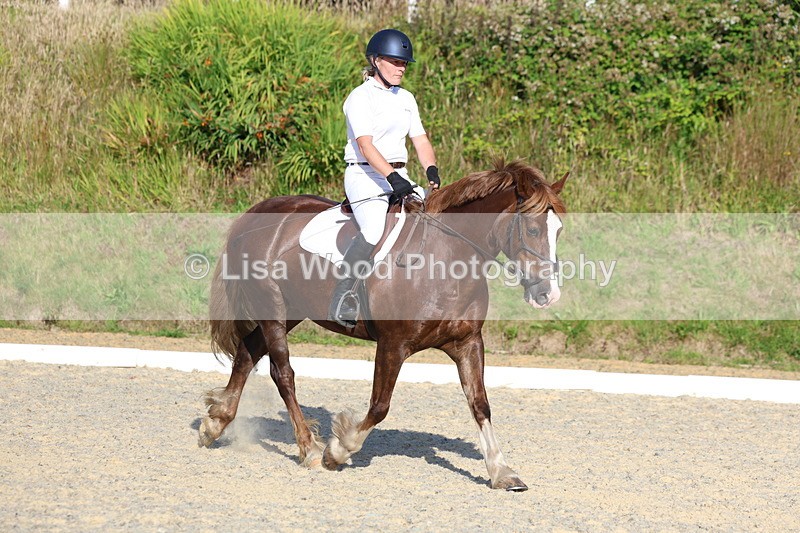 3E7A3690 - Class 2: Intro 1 2024 Section B