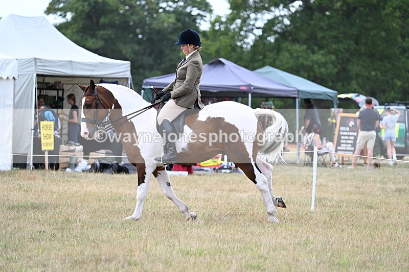 WJ7_5197 - Class 12 Ridden Cob