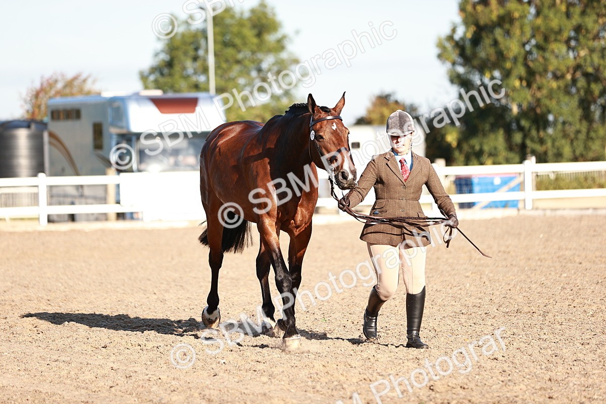 SBM_11192 - Class 401 - IH  Veteran horse