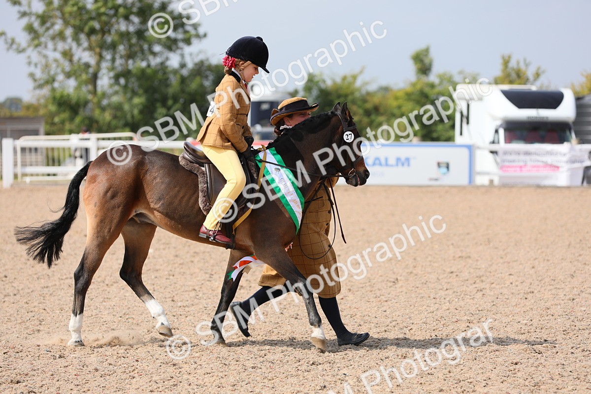 SBM_14131 - Class 309 Lead Rein Pony