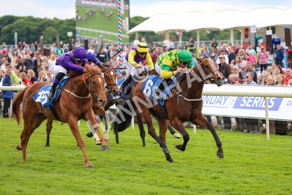 yr22052022r3-43 - Race 3: 4:35pm Sky Bet Sunday Series Dash