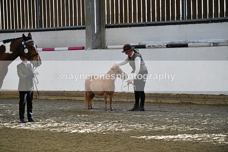 WJ5_3910 - Class 5 In Hand Veterans