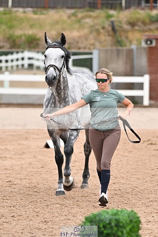 250716-143640-01243 - Trot Up 2.30 to 3.30