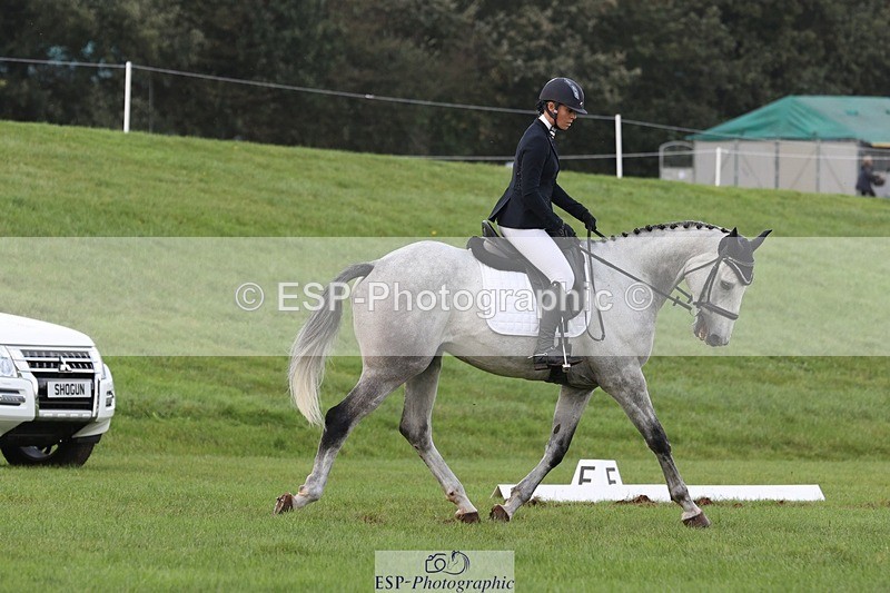 231019-154157-04990 - 557-KILBALLYBOY.SURPRISE-Courtney.Romcke-DR