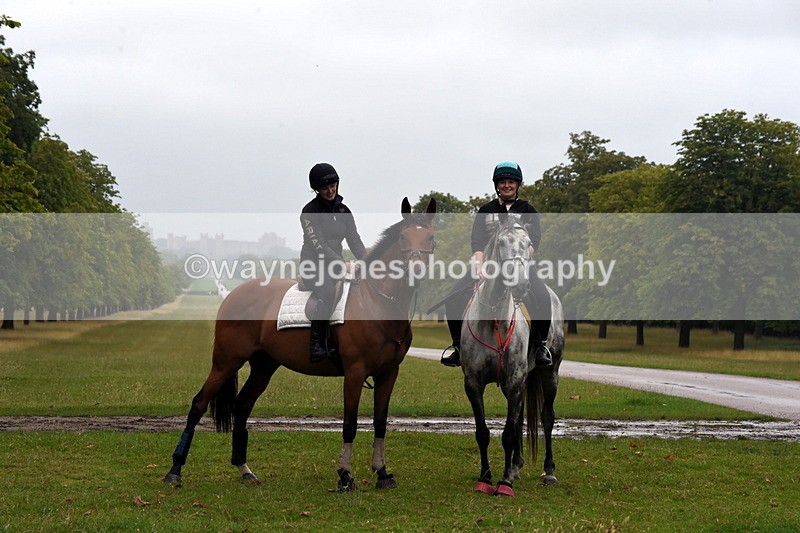TT3_8146 - Time at Crossing 09:15 to 10:15