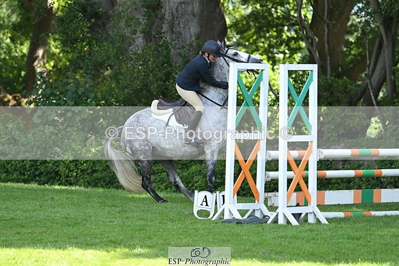 250704A-103055-06993 - Cls 25 Snr British Novice and 90cm