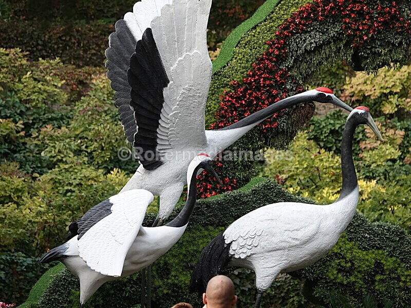 CHINA__1301 - China 2019