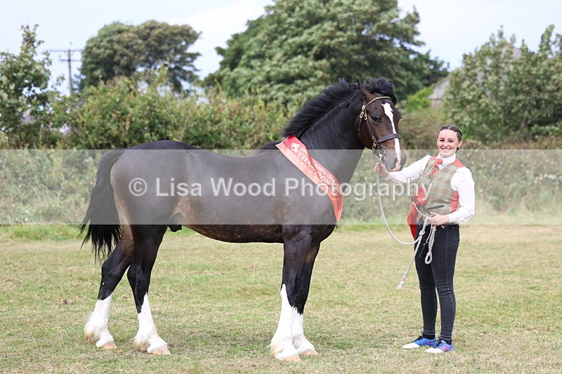 3E7A5733 - In Hand Championship