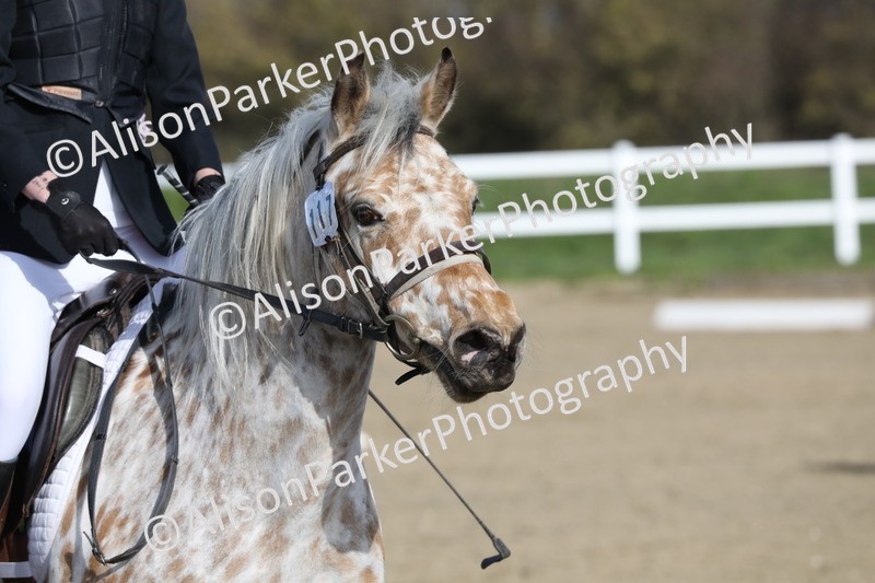 20260314-0153 - DR1 - Intro 1