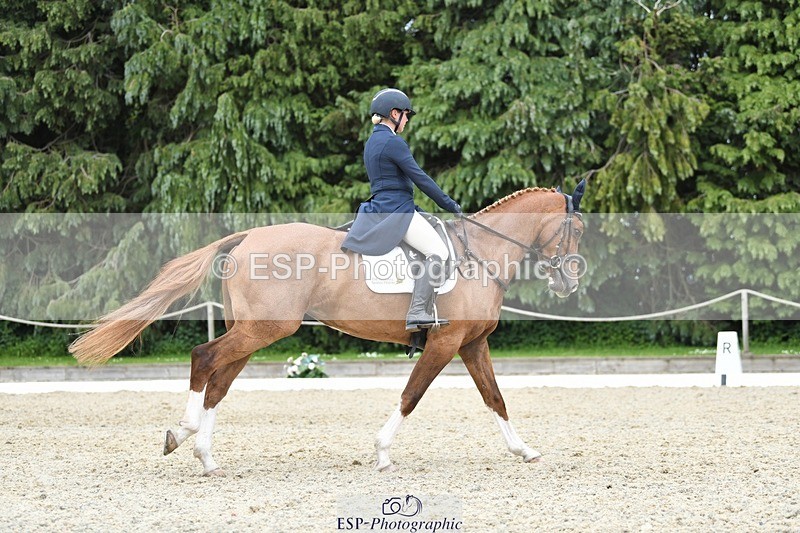 230525-152020-03227 - 308-NEFFECT_S-Kat_Raybould-WEDTrotUp+DR