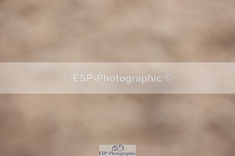 250620-112722-00678 - BD Cls 12 - Freestyle Medium