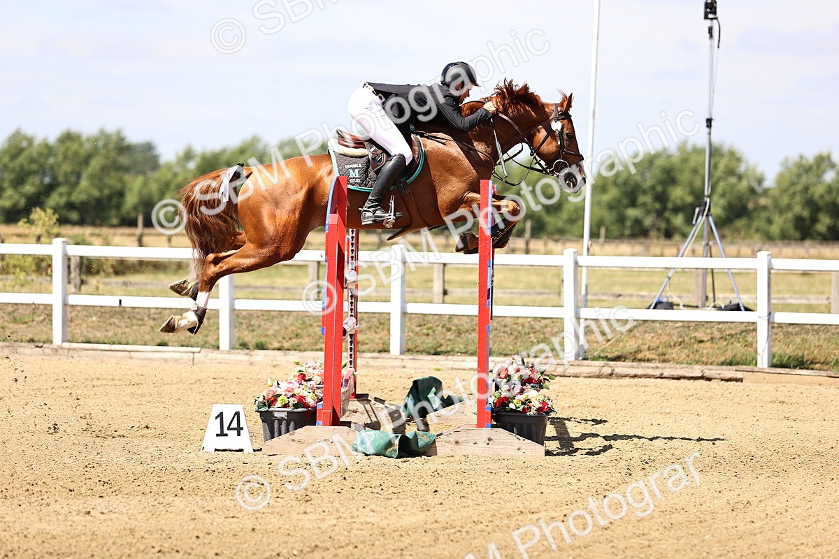 SBM_009981 - Class 9 - Senior Foxhunter - 1.20m Open