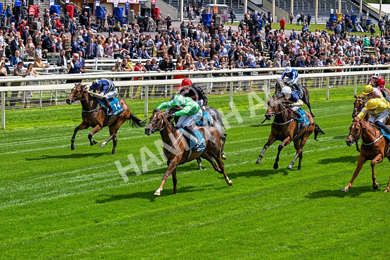 120626-Race 2-Everatease-6830 - Race 2 14.25pm Constant Security Keeping York Racegoers Safe Rous Selling Stakes