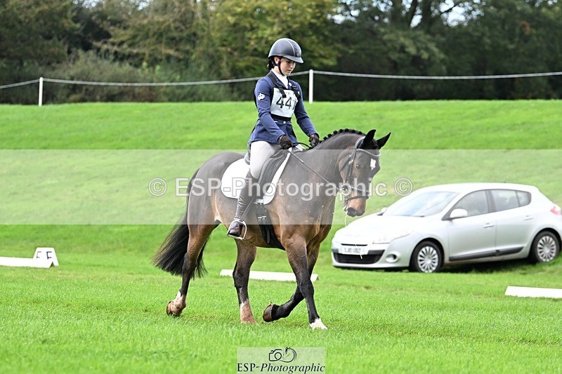 241025-092914-05801 - 441-Molly.Swain-SOCKS