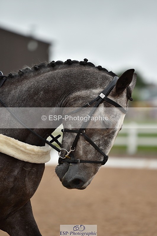 230630A-171032-03573 - Cls 4 Prelim 18