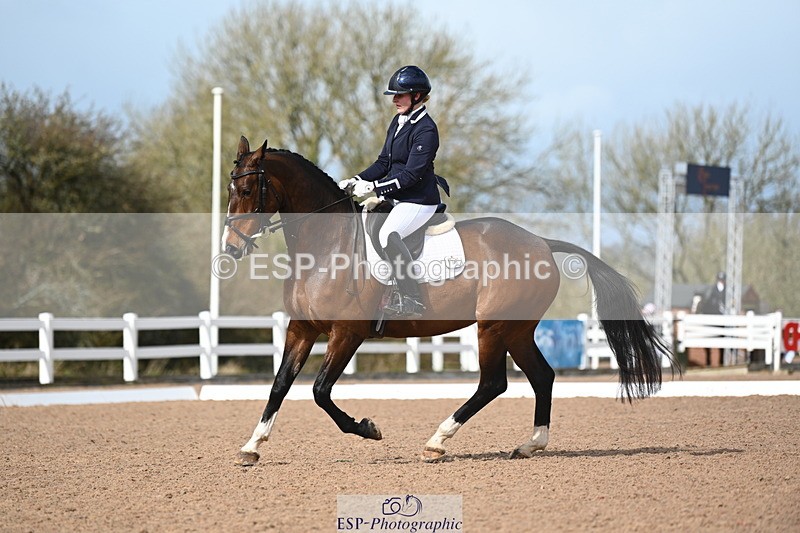 240323A-132142-03079 - DR Elementary 50