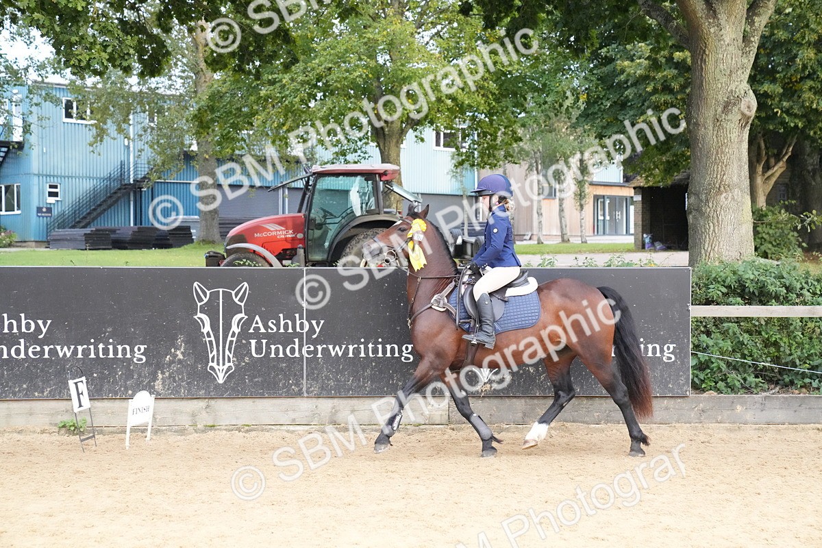 SBM_74959 - J4 - Mini Tour Junior Pony 45cm Championship