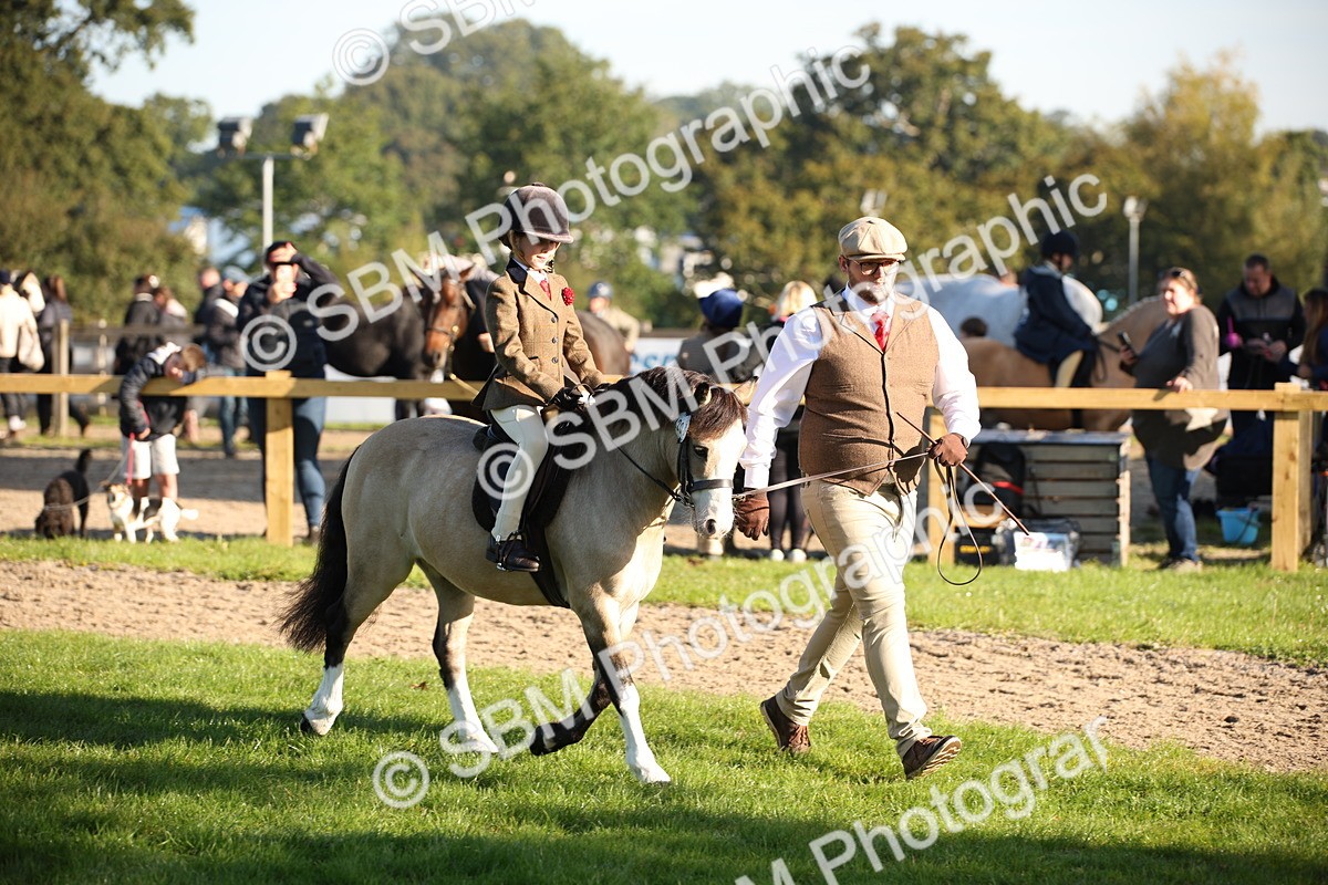 SBM_34243 - S9 - Lead Rein Equitation