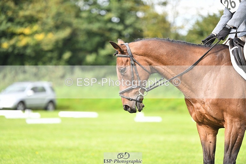 230826-101923-15444 - Sections C & D 10 to End