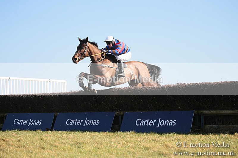 PtP 230219 354 - Vine & Craven Point-To-Point - Barbury 23/02/19