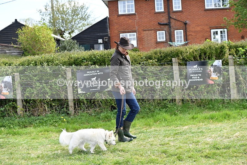 WJ5_0707 - Best in Show Championship