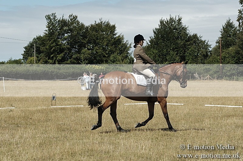 _PJP5832 - Dressage Classes BVRC Show 2018