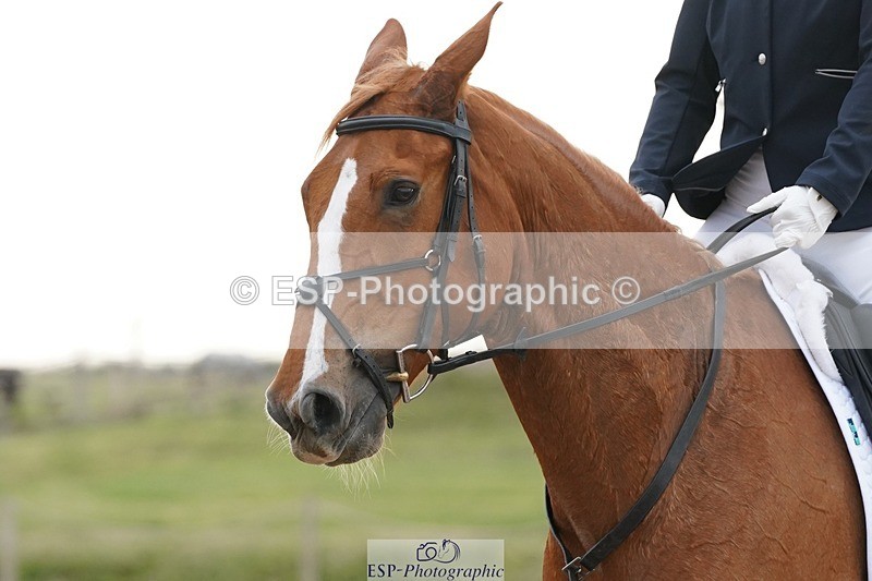 250621-083122-05446 - Quest Cls 1-5, Intro All