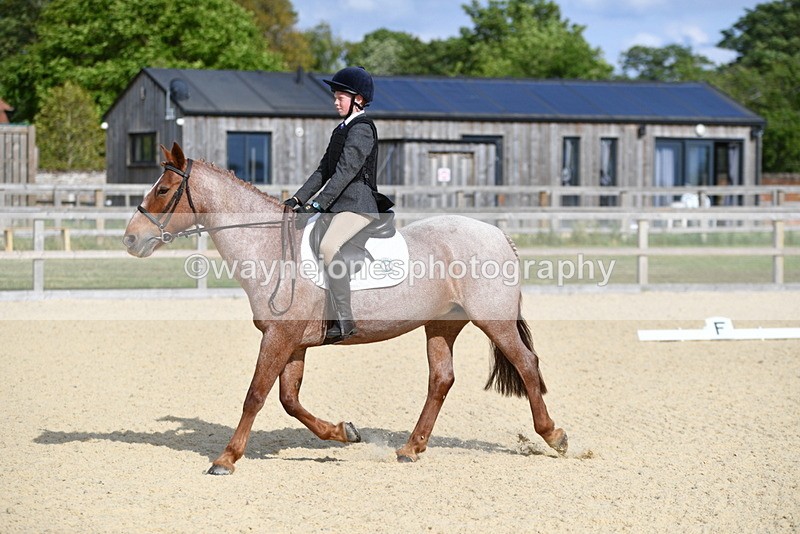 WJ5_7963 - Time 16:56 to 17:14