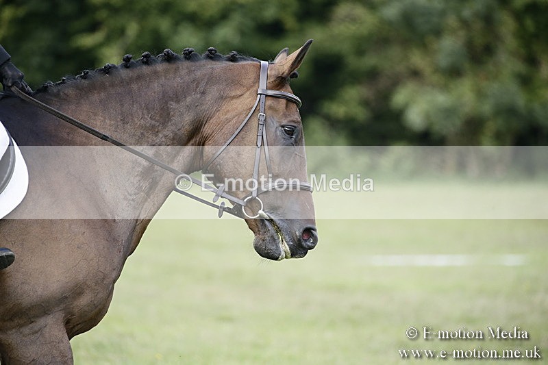BVR090918 150 - BVRC Dressage and Show Jumping 09/09/18