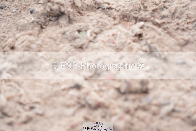 250511-110124-13392 - Cls 31 Snr Discovery and 1m Open