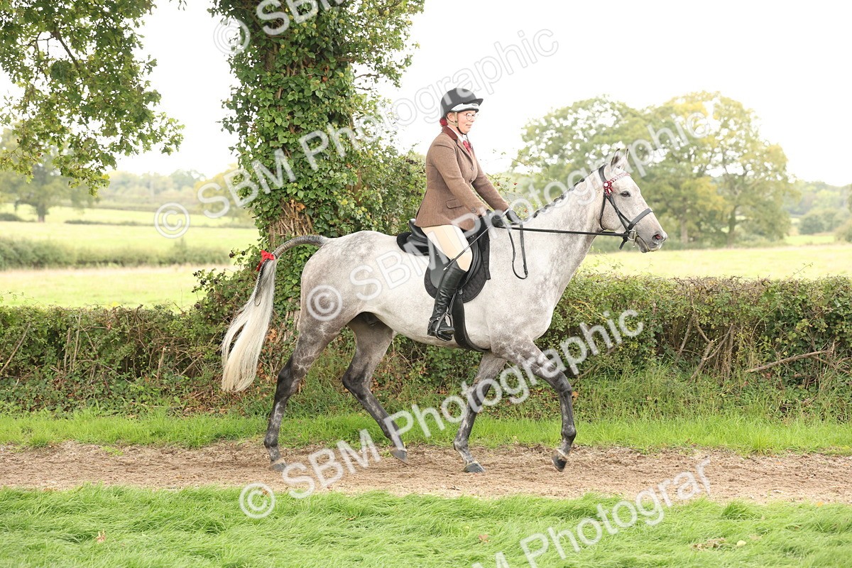 SBM_64153 - S65 - Riding Horse & Hack & Thoroughbred Ridden