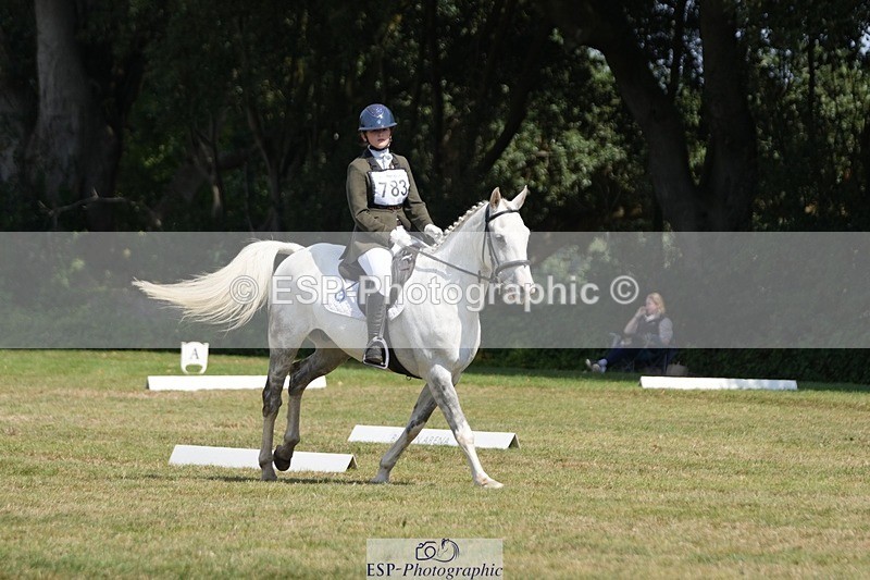 250823A-133014-31046 - Arena B