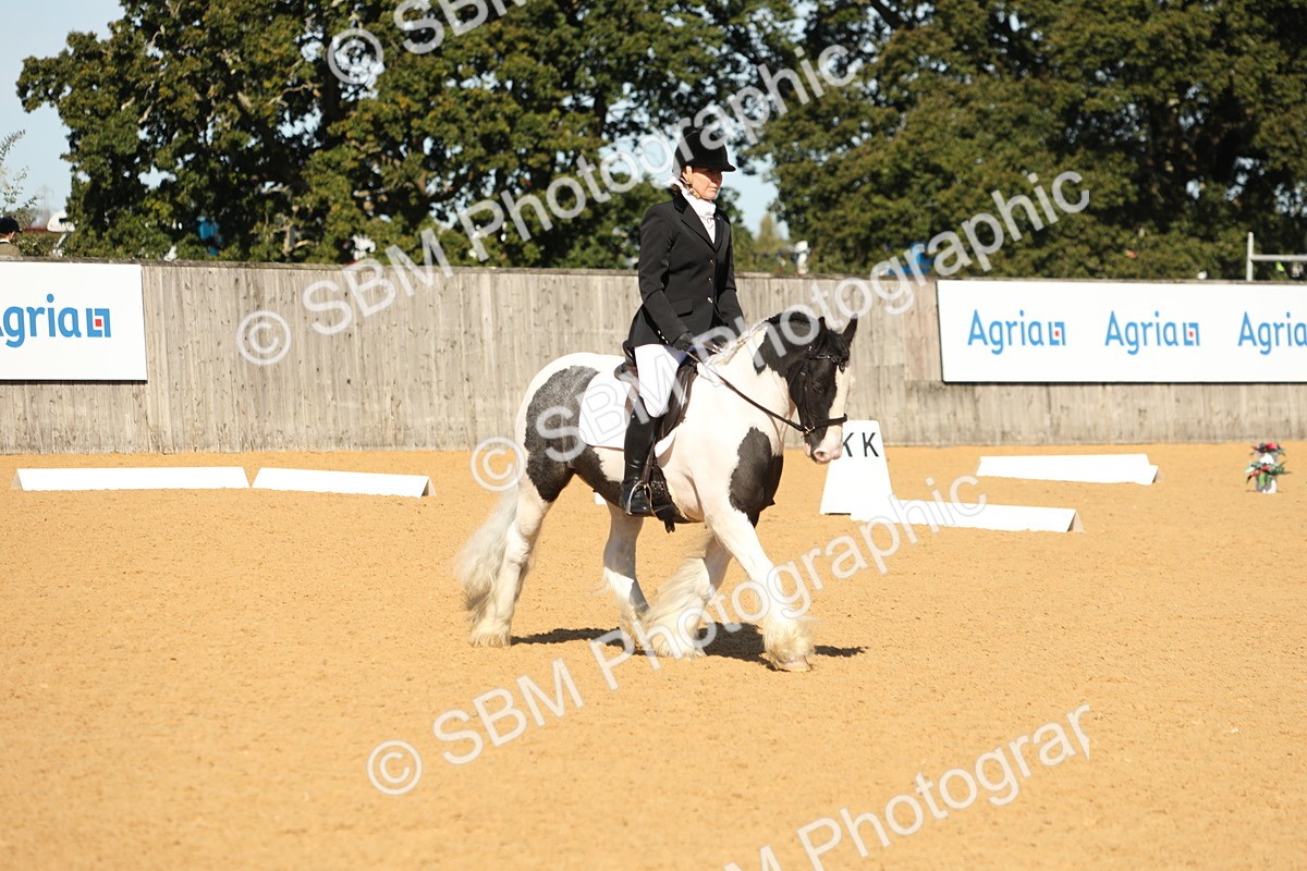 SBM_18858 - D10 - Small Tour Championship - Prelim 2