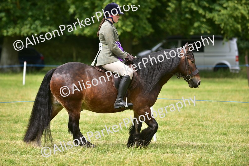 20260614-4186 - Class 17 - Best Mane and Tail