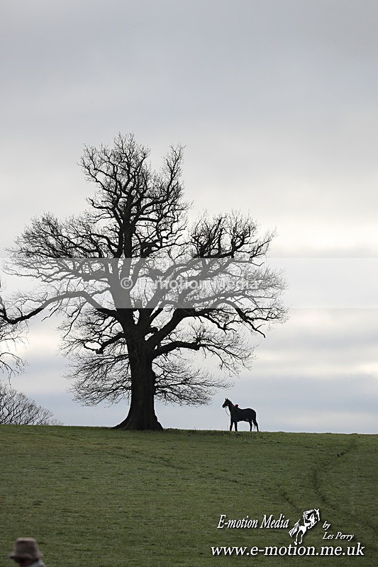 PtP 291224 58 - Harkaway Club PtP Chaddesley Corbett 29/12/24