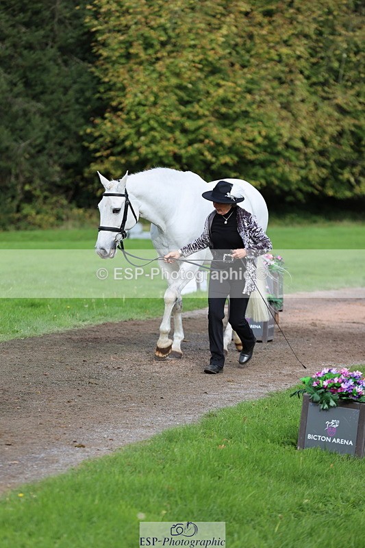 251026A-120707-25894 - G-522-Sue.Parkes Inc Trot Up
